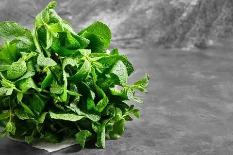 تصویر 4 از فروش آنلاین سبزی نعناع خشک فله‌ای